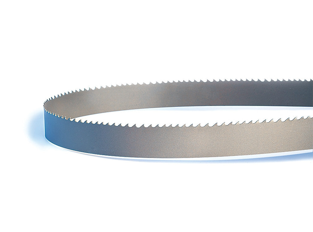 SCIE RUBAN CLAS-PRO 116" (9' 8") 1" 3-4D LENOX