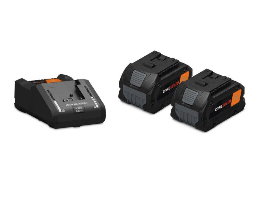 SET DE 2 BATTERIES DE DEPART AMPSHARE 18V 8AH AVEC CHARGEUR