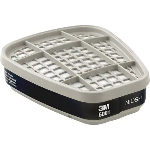 CARTOUCHES ORGANIC VAPOUR (PAIRE) 3M 6001