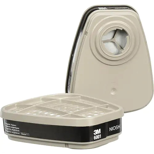 CARTOUCHES ORGANIC VAPOUR (PAIRE) 3M 6001