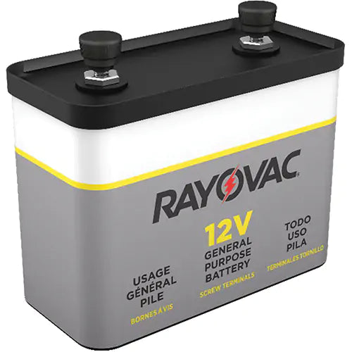 BATTERIE RAYOVAC XI469