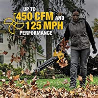 ENSEMBLE DE SOUFFLEUR XR (1x20V/5AH+chargeur)