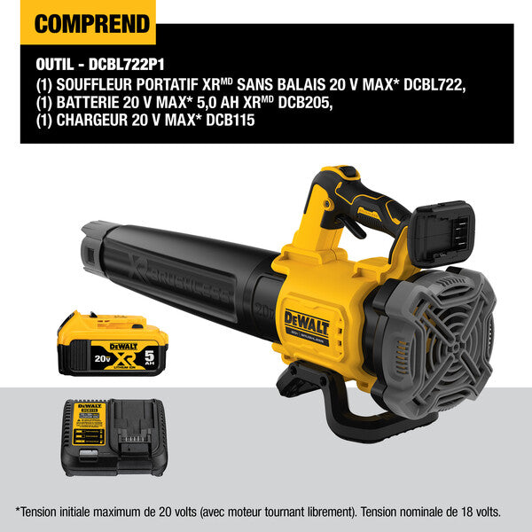 DeWalt DCBL722P1
